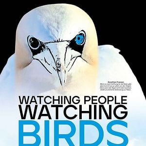 Bilder Watching People Watching Birds