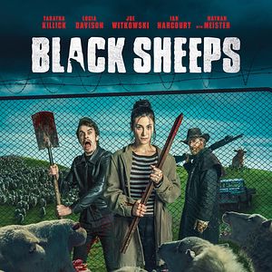 Bilder Black Sheeps