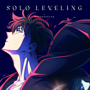 Bilder Solo Leveling - Reawakening-