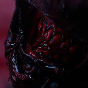 Bilder Fresh Meat