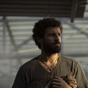 Bilder Apokalypse Z: Der Anfang vom Ende