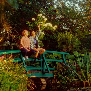 Bilder Agathe Rousselle