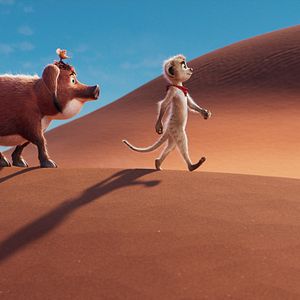 Bilder Tafiti - Ab durch die Wüste