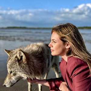 Bilder Neuer Wind im Alten Land: Der Wolf