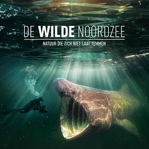 Bilder Die wilde Nordsee - Natur, die sich nicht zähmen lässt