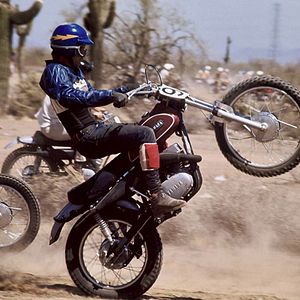 Bilder Little Fauss und Big Halsy - Stromer der Landstraße