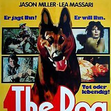 Bilder The Dog