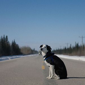 Bilder Cold Road - Eiskalte Rache