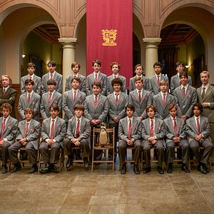 Bilder Der Pinguin meines Lebens