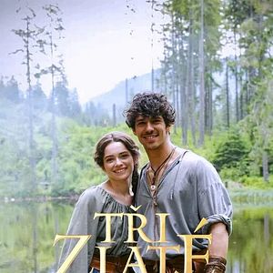 Bilder Die drei goldenen Dukaten