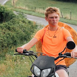 Bilder Könige des Sommers