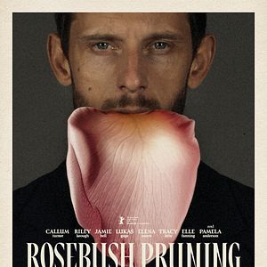 Bilder Rosebush Pruning
