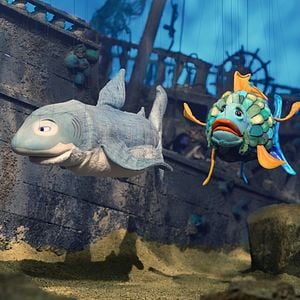 Bilder Der Regenbogenfisch