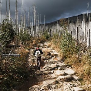 Bilder Prof. Dr. Sebastian Seiffert