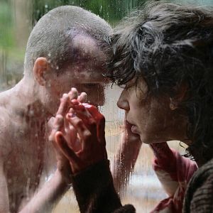 Bilder Sally Hawkins