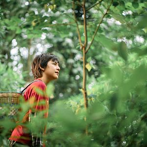 Bilder Moon, der Panda