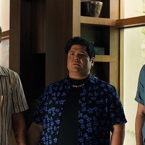 Bilder Companion - Die perfekte Begleitung