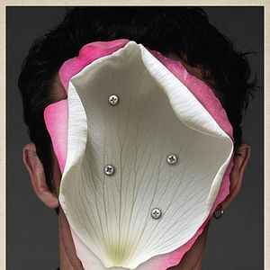 Bilder Rosebush Pruning