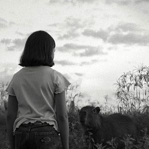 Bilder Die Nachricht