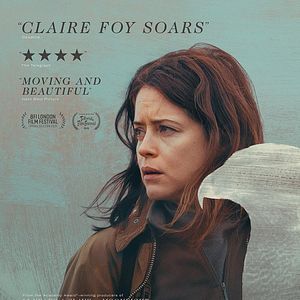 Bilder H wie Habicht