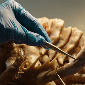 Bilder Kraken - Erwachen der Tiefe