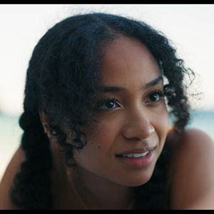 Bilder Flycatcher - Survival Has Its Price