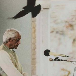 Bilder Krishnamurti, die Revolution der Stille