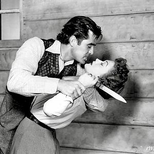 Bilder Allen Gefahren zum Trotz