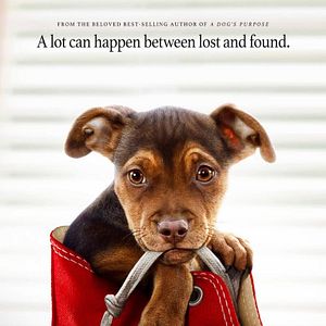 Bilder Die unglaublichen Abenteuer von Bella