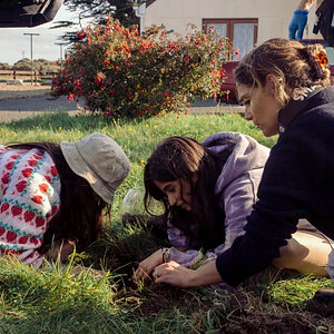 Bilder September & July 