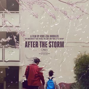 Bilder After The Storm