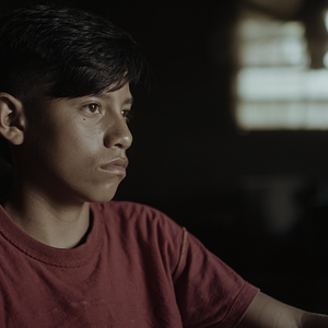 Bilder Das Land der verlorenen Kinder