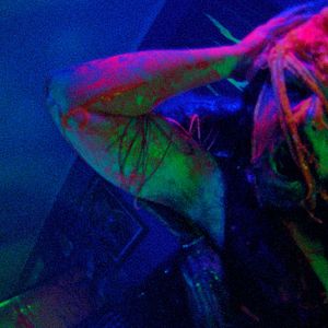 Bilder Joe Begos