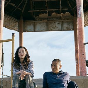 Bilder Black Dog - Weggefährten