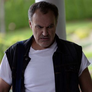 Bilder Die Hunde-Gang – Helden auf vier Pfoten