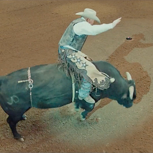 Bilder Neal McDonough