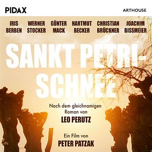 Bilder St. Petri Schnee
