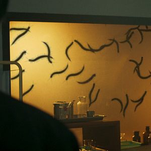 Bilder Creepy Crawly