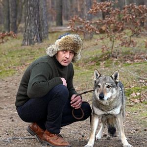 Bilder Dünentod - Ein Nordsee-Krimi: Blutiges Moor