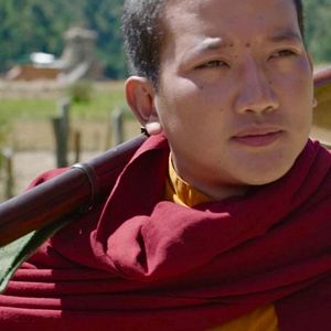 Bilder Was will der Lama mit dem Gewehr?