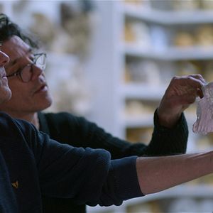 Bilder Geheimnisse der Neandertaler