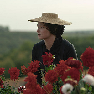 Bilder Die Witwe Clicquot