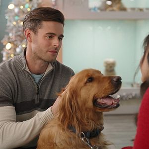 Bilder Weihnachtsglück mit Herz und Hund