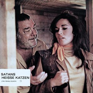Bilder Des Satans heiße Katzen