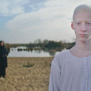 Bilder The Tale of Daye's Family