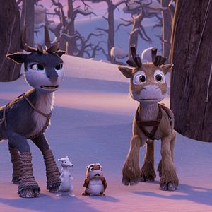 Bilder Niko - Reise zu den Polarlichtern