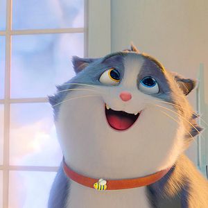 Bilder Alles für die Katz