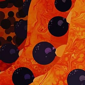 Bilder Papayas große Reise