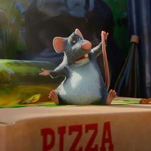 Bilder Alles für die Katz