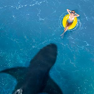 Bilder Below - Schrecken aus der Tiefe